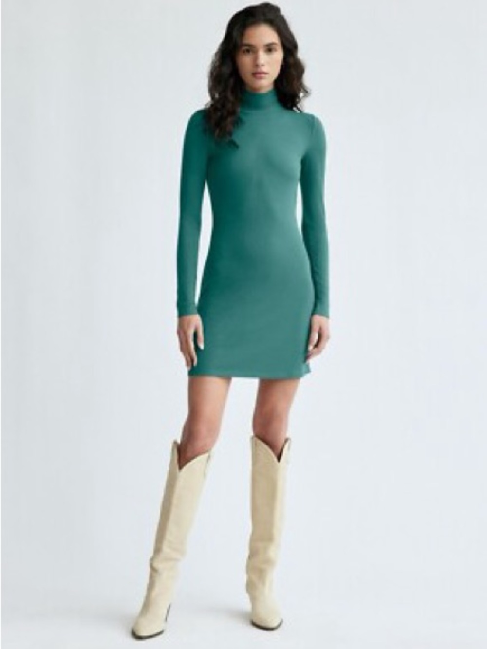 Aritzia Turtleneck Bodycon Dress in BLACK